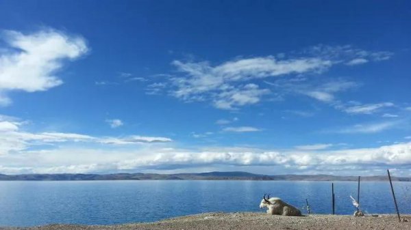 罗翔经典语录100句