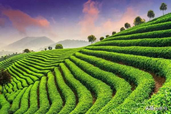 罗翔经典语录100句