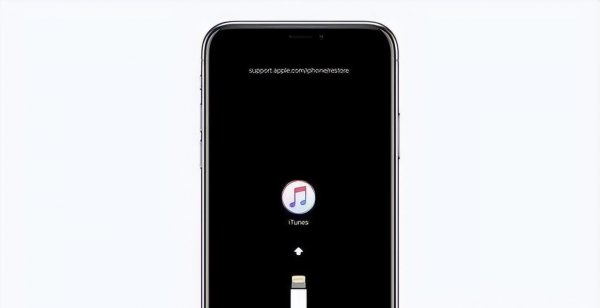 苹果手机屏幕不亮怎么回事