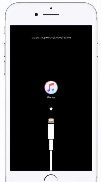 苹果手机屏幕不亮怎么回事