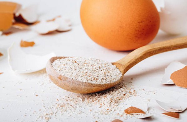 鸡蛋壳养花的正确使用方法