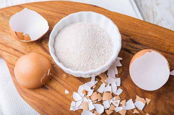 鸡蛋壳养花的正确使用方法