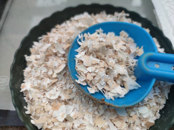 鸡蛋壳养花的正确使用方法