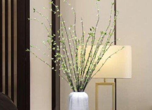 雪柳放家里有忌讳吗