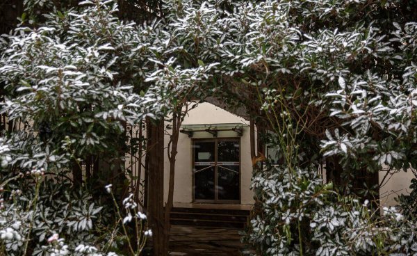 山东省春考大学排名榜名单