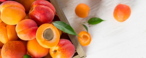 春季水果如何储存保鲜