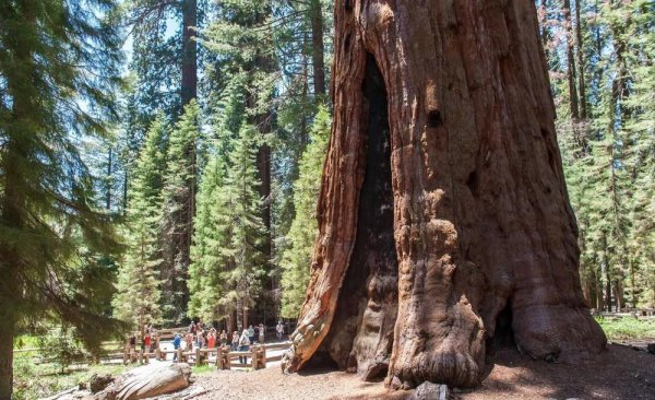 世界十大遗产简介