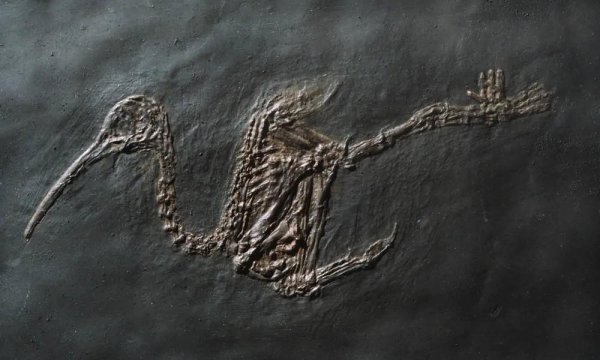 世界十大遗产简介