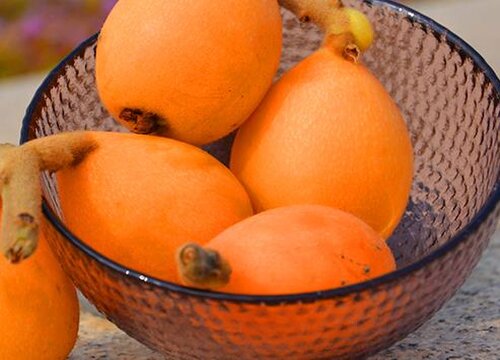 枇杷亩产量一般多少斤左右