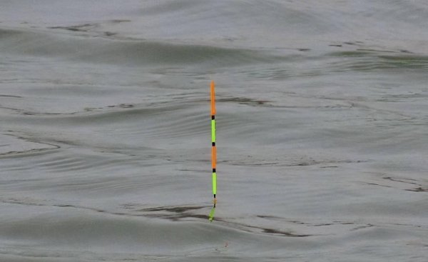 顶漂不中鱼什么原因