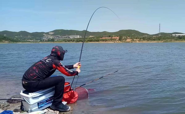 顶漂不中鱼什么原因