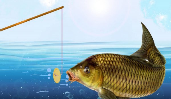 顶漂不中鱼什么原因