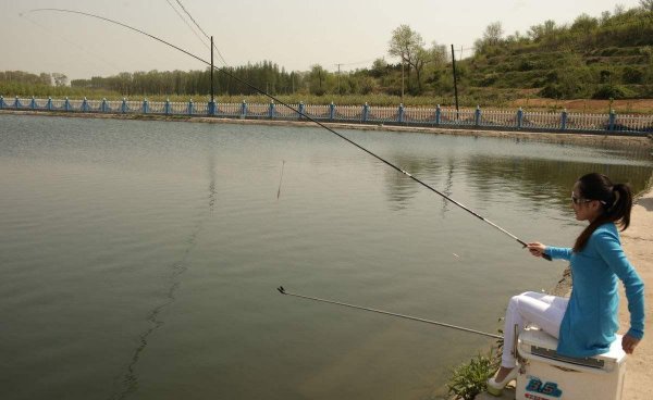 顶漂不中鱼什么原因