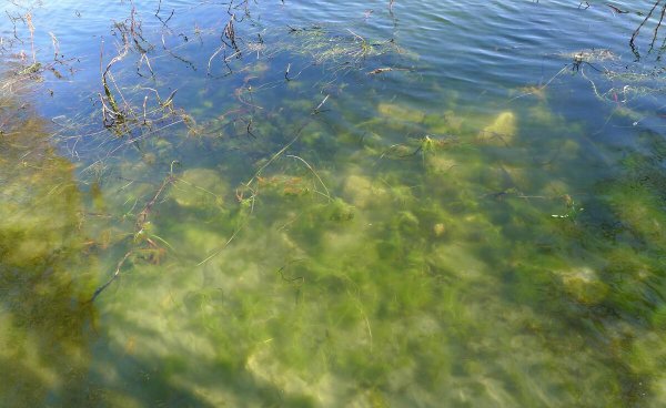 顶漂不中鱼什么原因