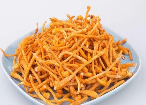 冬虫草花的功效与作用及食用方法