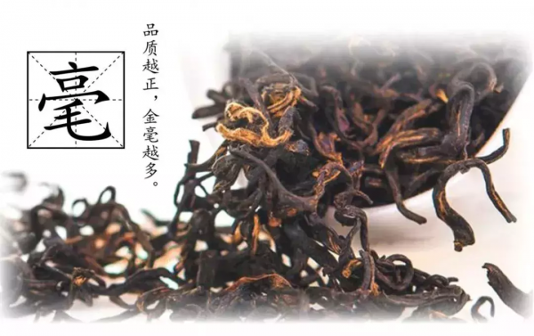 祁门红茶的功效与作用