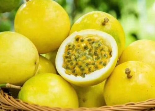 百香果的籽要不要嚼碎