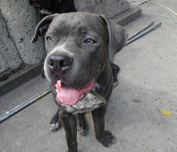 卡斯罗的五大缺点看完后悔了