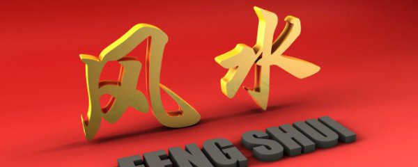 什么属相的人不能养龙骨