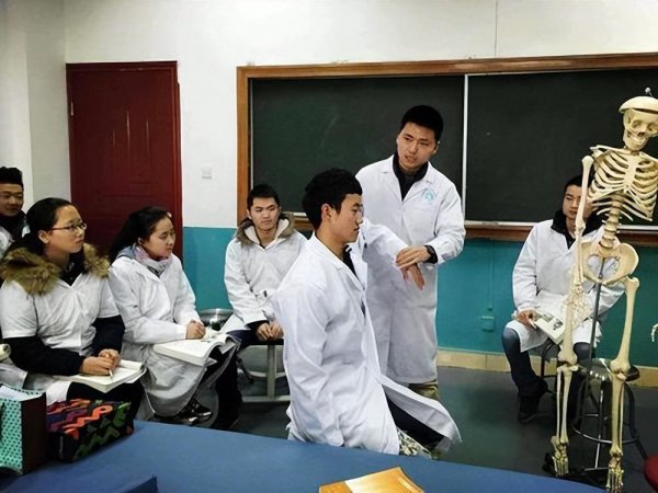 文科生学医可以报哪些专业