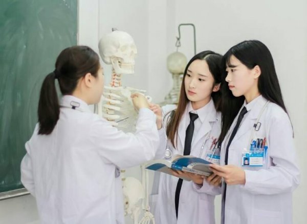 文科生学医可以报哪些专业