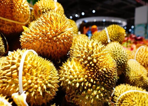 黑刺榴莲多少钱一斤