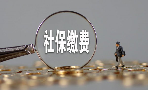 单位交的社保能取出来吗