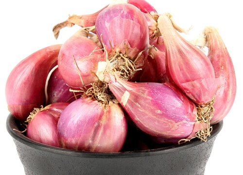 红葱头种植时间和方法