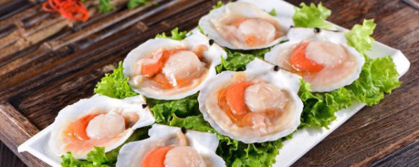 柿子和扇贝能不能一起吃