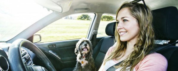 汽车水箱倒流解决方法