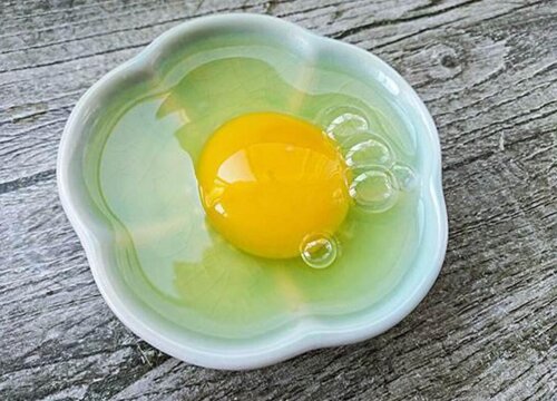 用什么养蟹爪兰猛开花