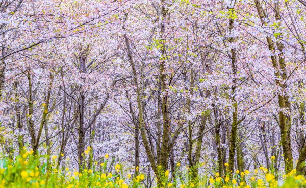 法国的名胜古迹有哪些地方