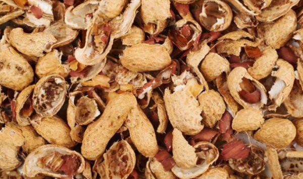 腐熟的花生壳能作为肥料吗