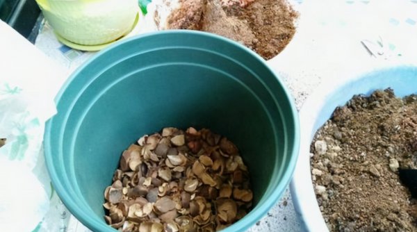 腐熟的花生壳能作为肥料吗