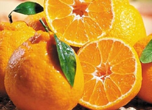 进口水果品种大全图片和名称