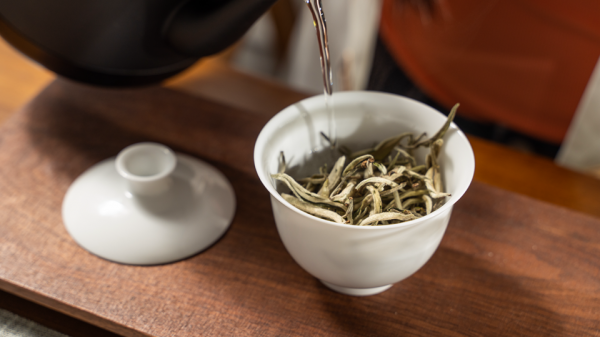 云南白茶与福建白茶的区别