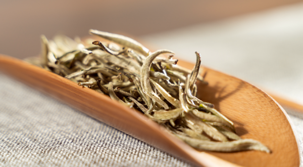 云南白茶与福建白茶的区别