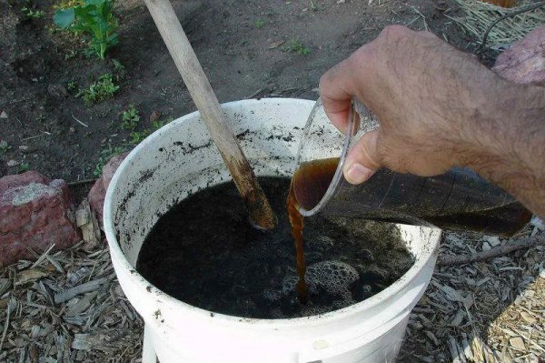 草木灰是酸性还是碱性