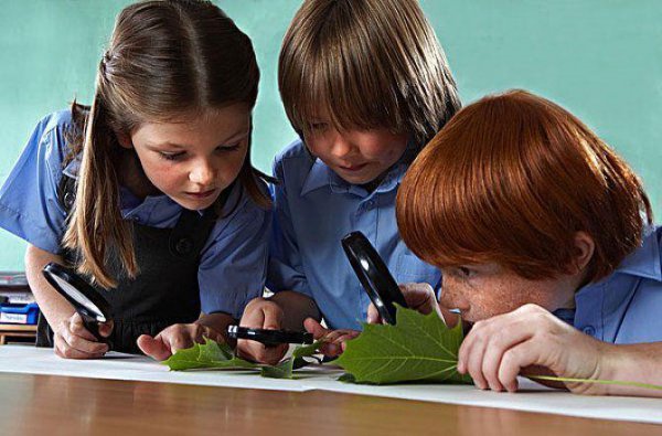 智商120以上的人的特点