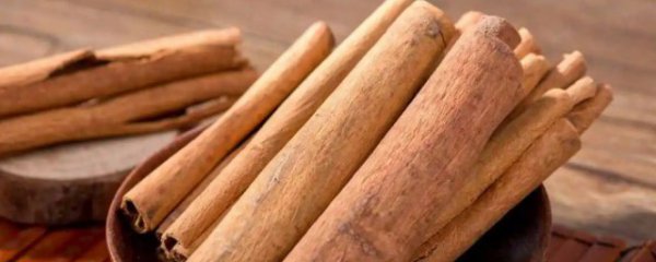肉桂是什么东西