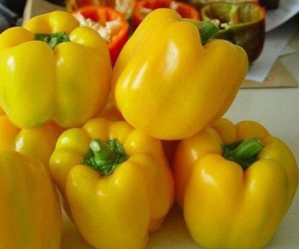 我国辣椒是哪里产的最好