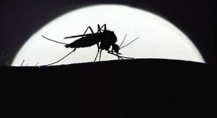 风油精有驱蚊的作用吗