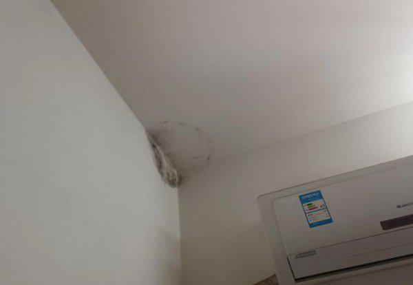 外墙渗水到内墙做防水有用吗