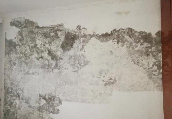 外墙渗水到内墙做防水有用吗