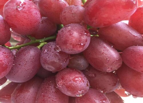 葡萄的保存最佳方法