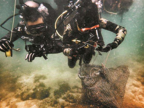 地球最深的地方是哪个海沟