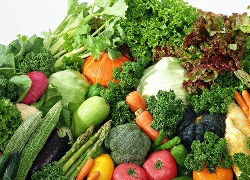 种植大棚蔬菜赚钱吗