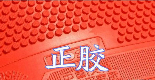 乒乓球反胶和长胶的区别图片