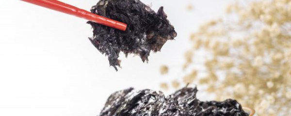 羊肉和紫菜能一起吃吗
