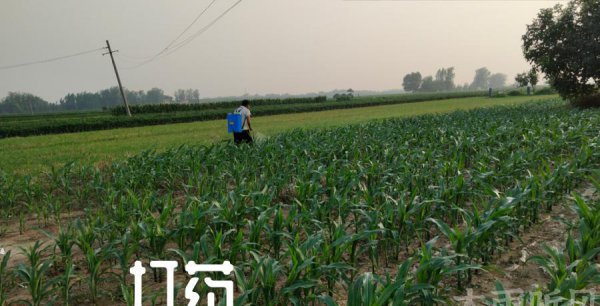 兑好的农药多长时间失效